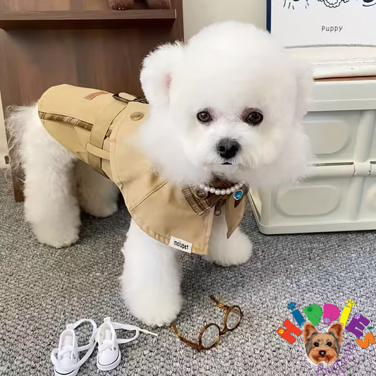 Palton în stil britanic