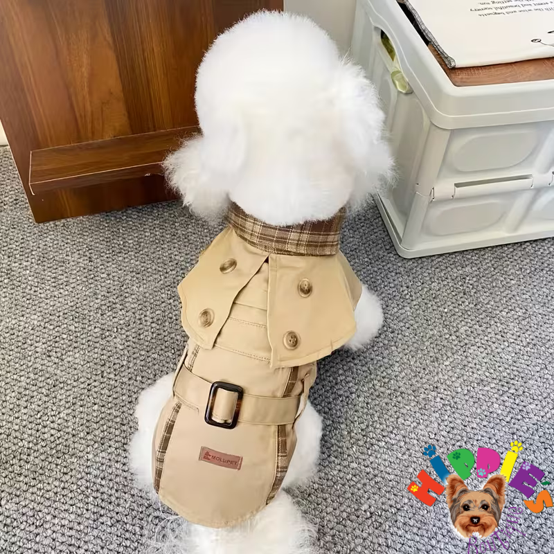 Palton în stil britanic