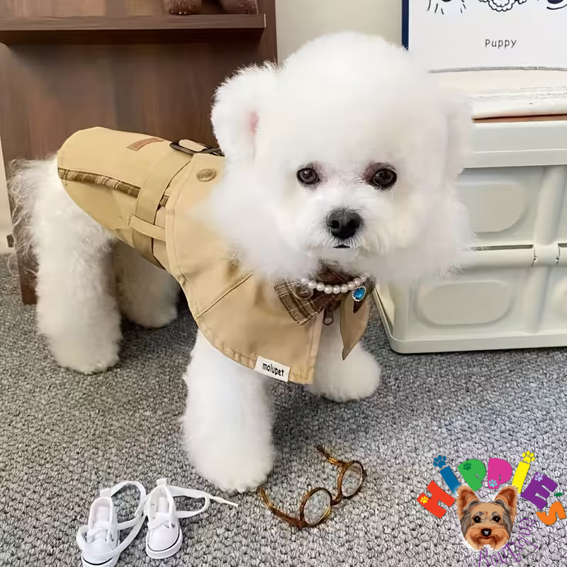 Palton în stil britanic